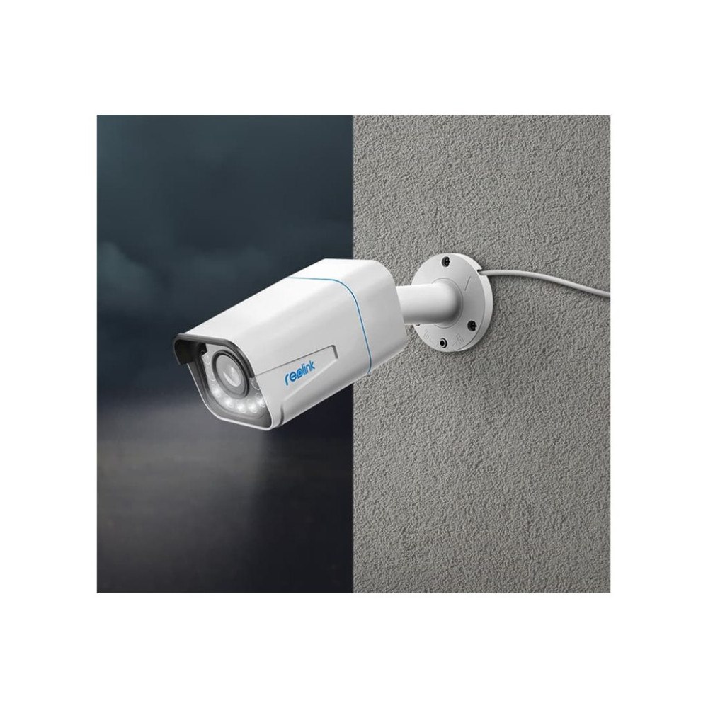 Reolink Digital Technology Reolink P430 - nätverksövervakningskamera - kula