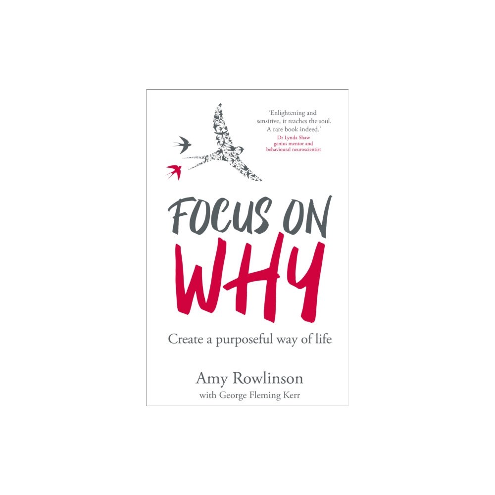 Right Book Press Focus on Why (häftad, eng)