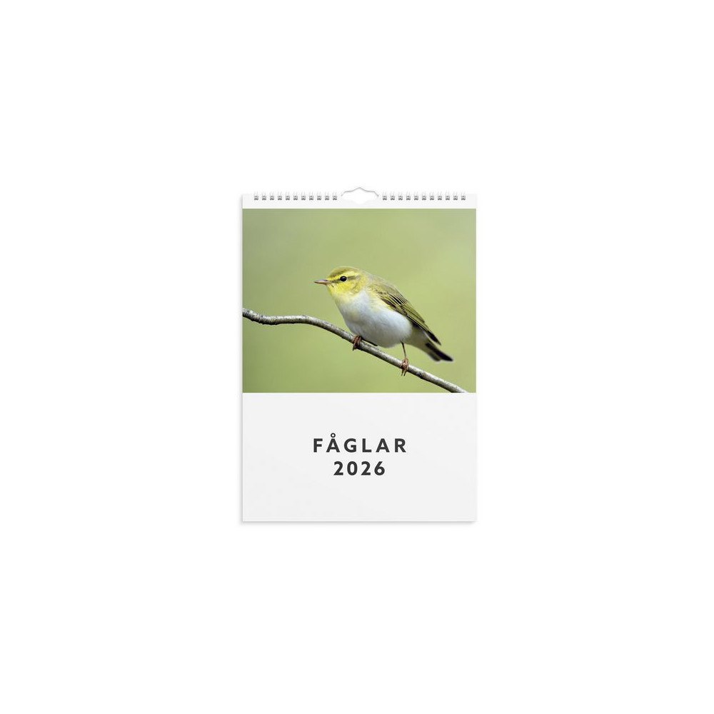 Burde Väggkalender 2026 Fåglar