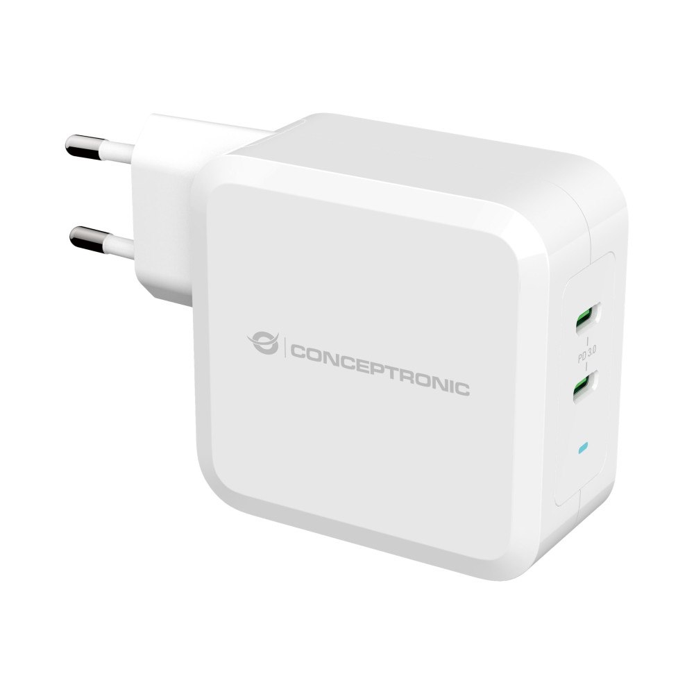 Conceptronic Conceptronic ALTHEA strömadapter - 2 x USB-C - 100 Watt