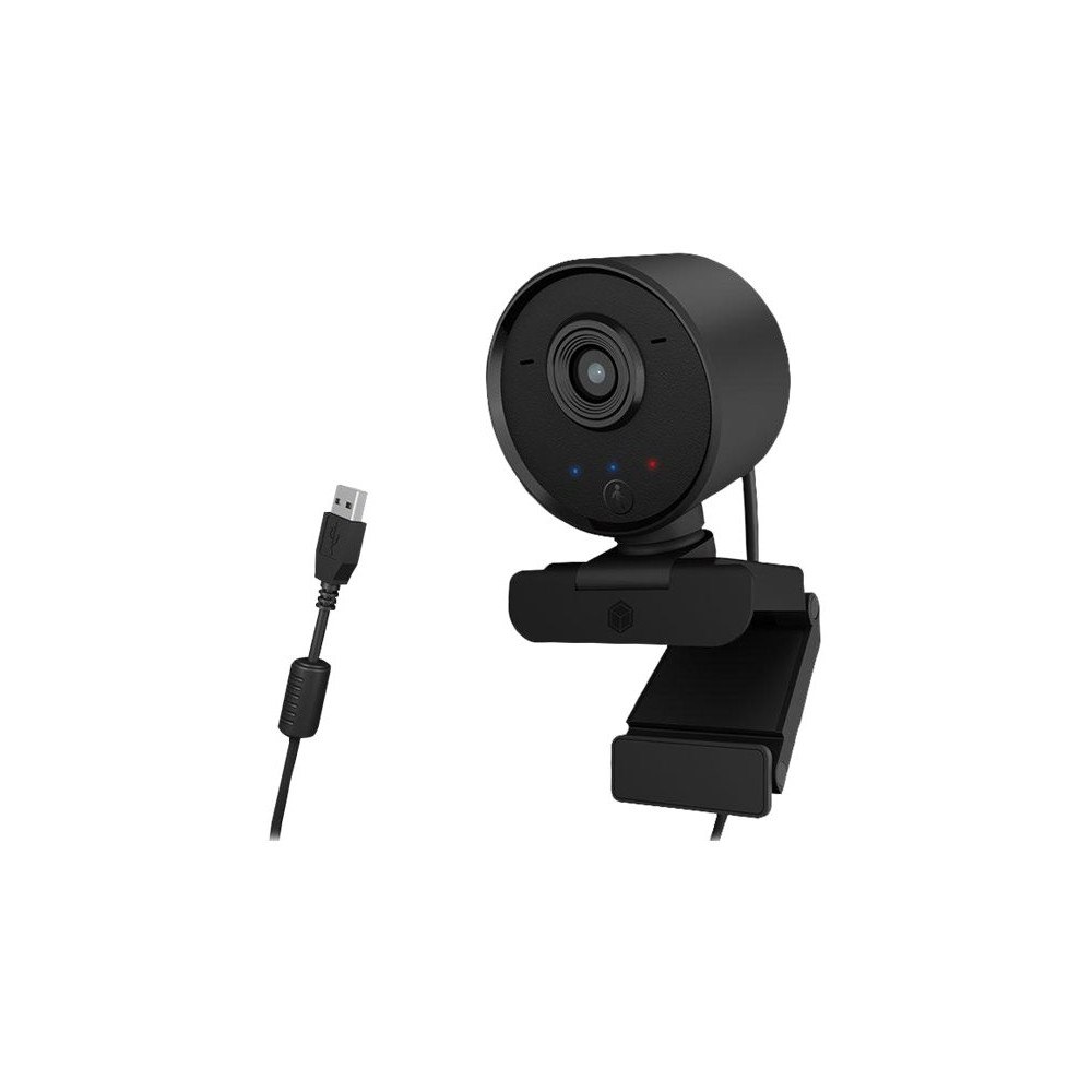 RaidSonic Technology ICY BOX IB-CAM502-HD - webbkamera