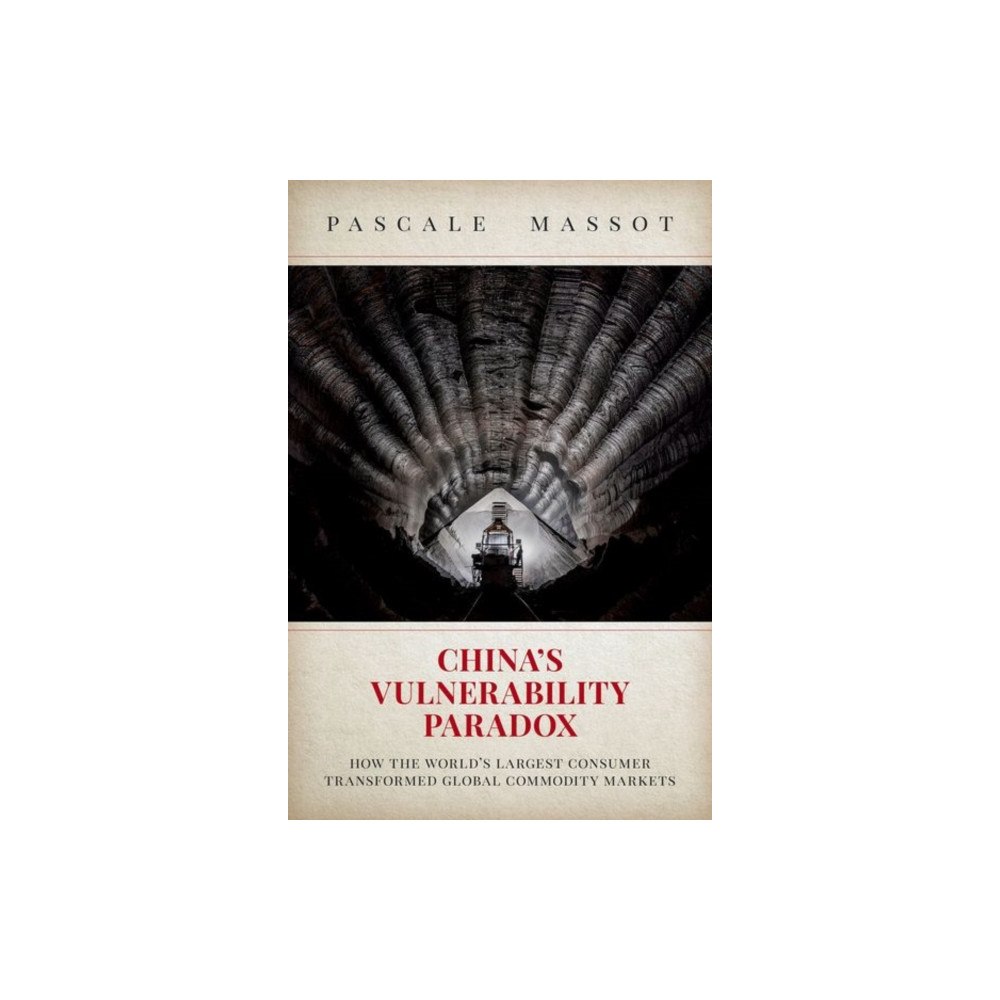 Oxford University Press Inc China's Vulnerability Paradox (häftad, eng)