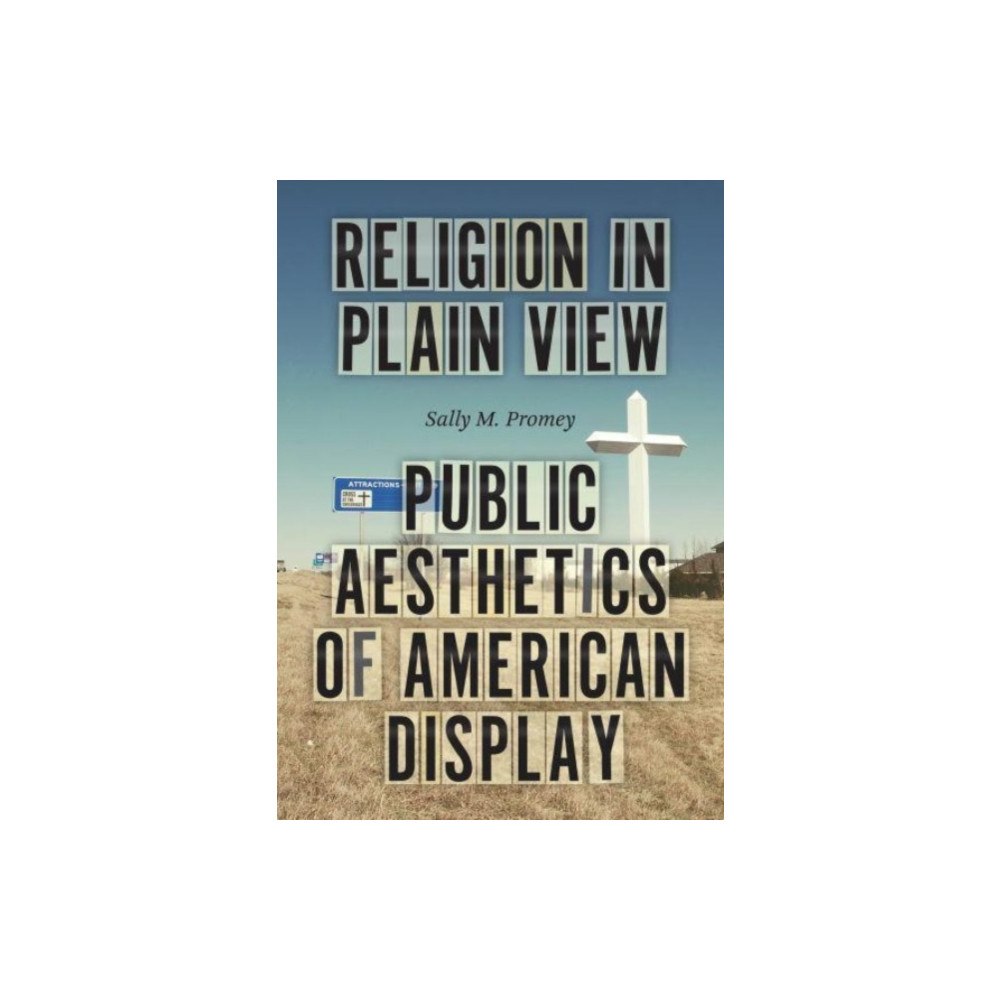 The university of chicago press Religion in Plain View (inbunden, eng)