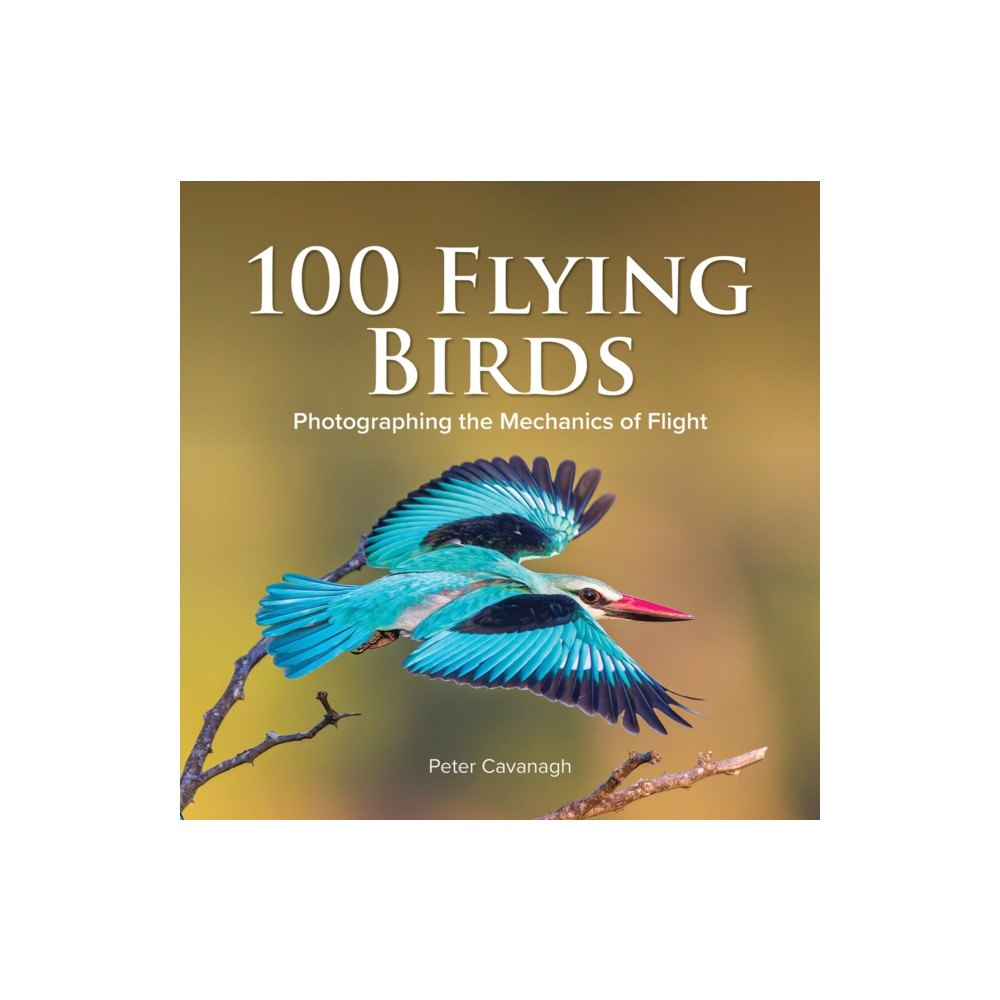 Firefly Books Ltd 100 Flying Birds (inbunden, eng)