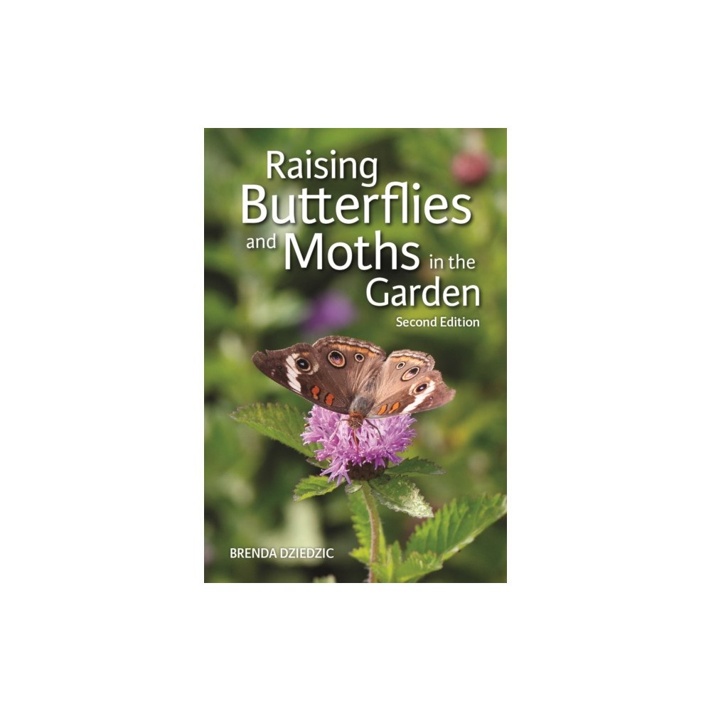 Firefly Books Ltd Raising Butterflies and Moths in the Garden (häftad, eng)