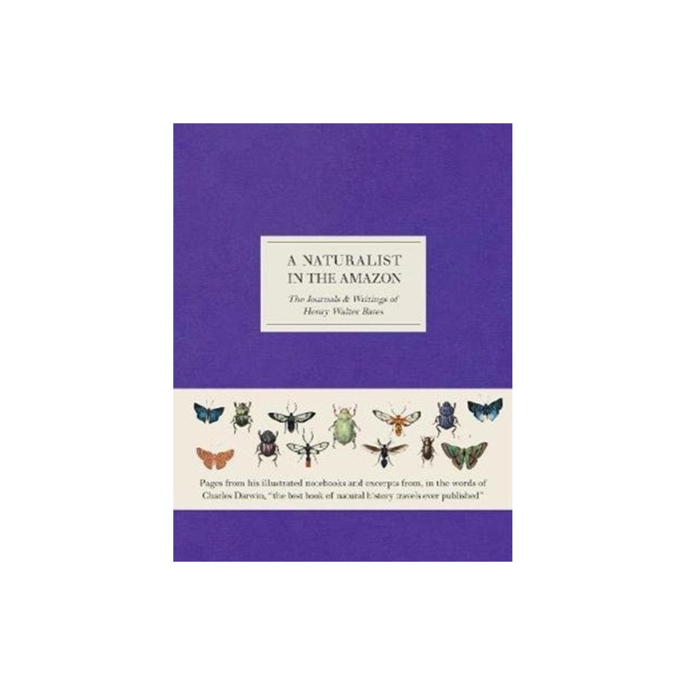 The Natural History Museum A Naturalist in the Amazon (inbunden, eng)