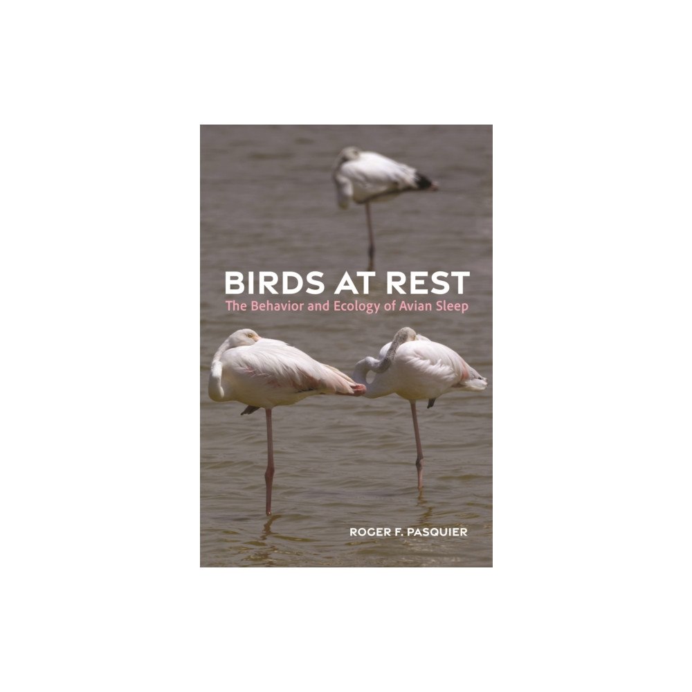 Princeton University Press Birds at Rest (inbunden, eng)