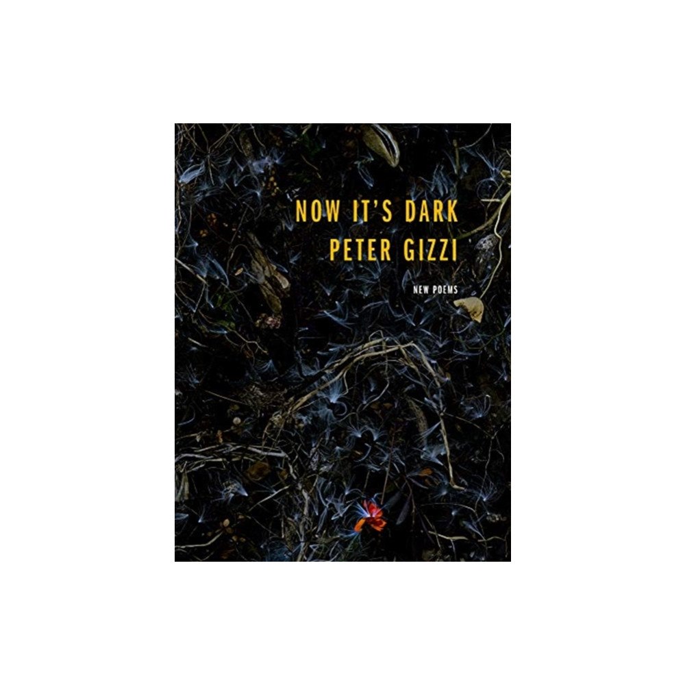 Wesleyan University Press Now It's Dark (häftad, eng)