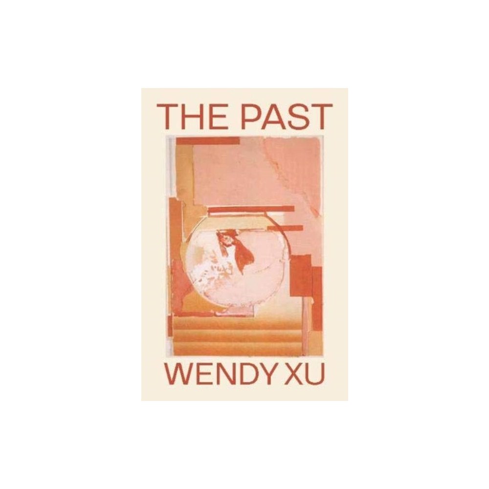Wesleyan University Press The Past (inbunden, eng)