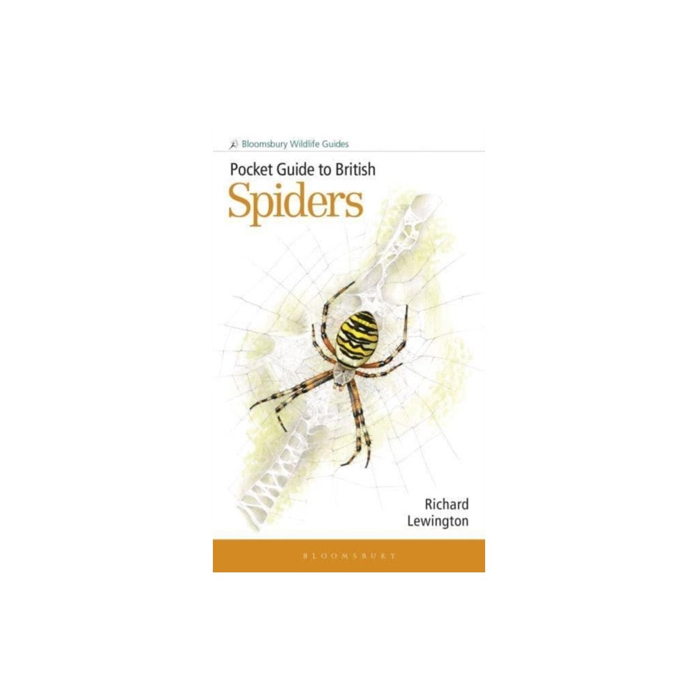 Bloomsbury Publishing PLC Pocket Guide to British Spiders (häftad, eng)