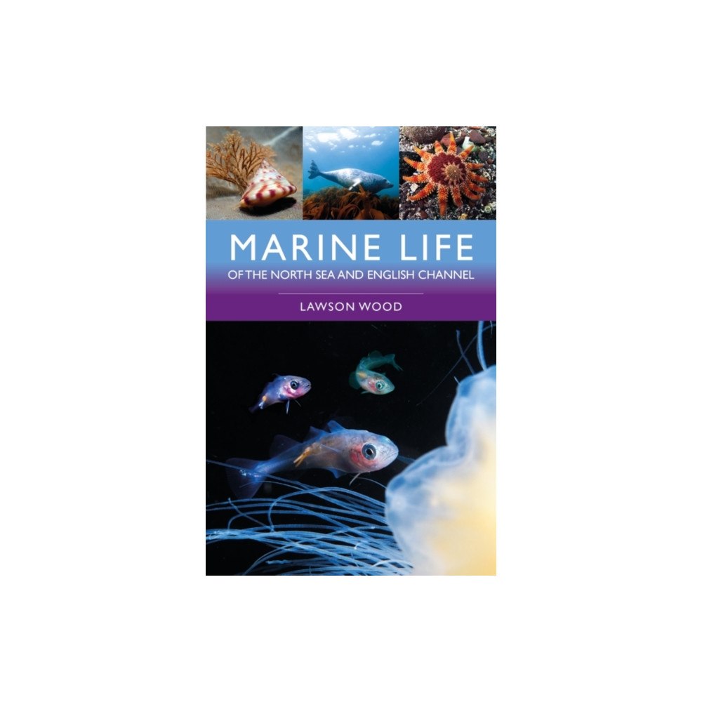 Bloomsbury Publishing PLC Marine Life of the North Sea and English Channel (häftad, eng)