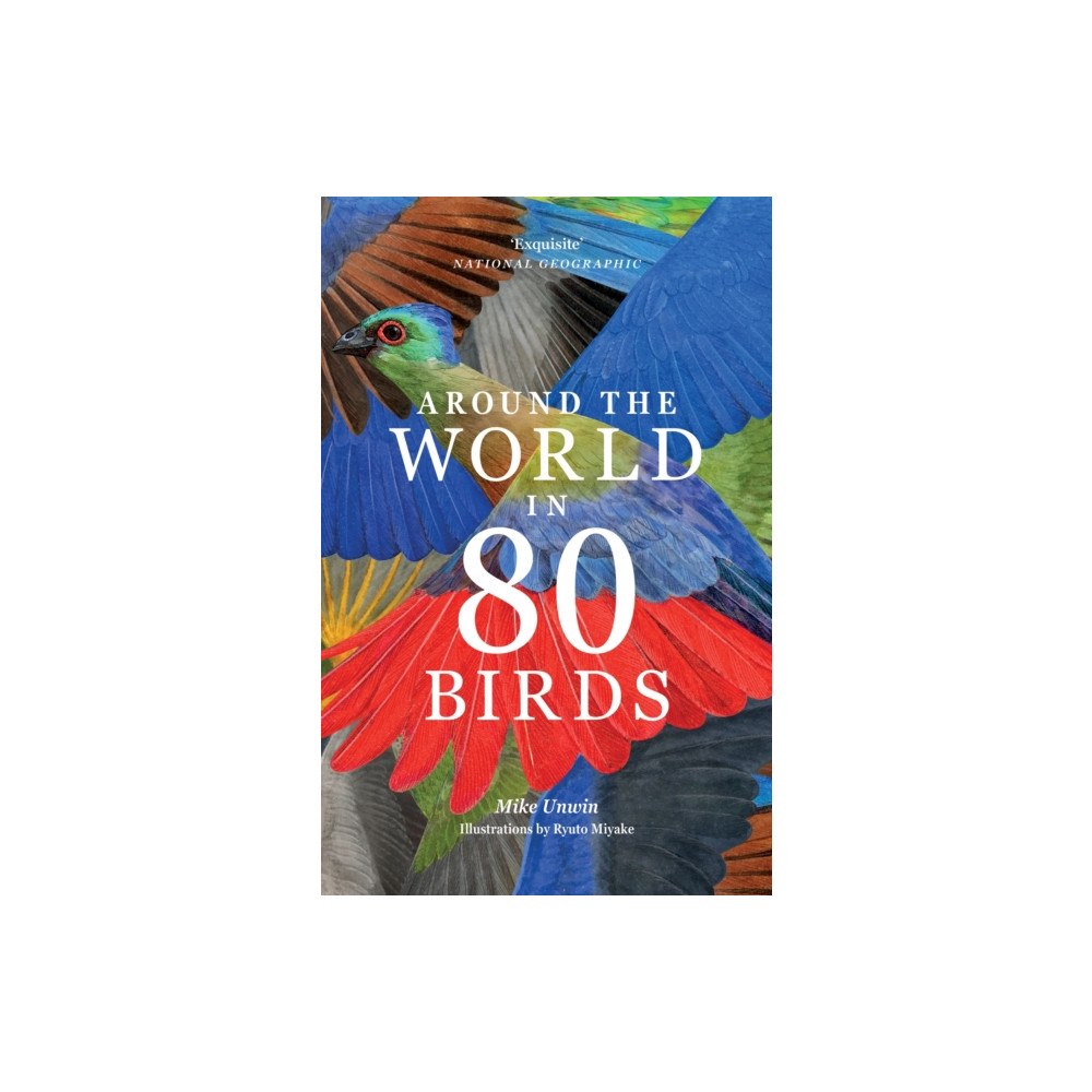 Orion Publishing Co Around the World in 80 Birds (häftad, eng)