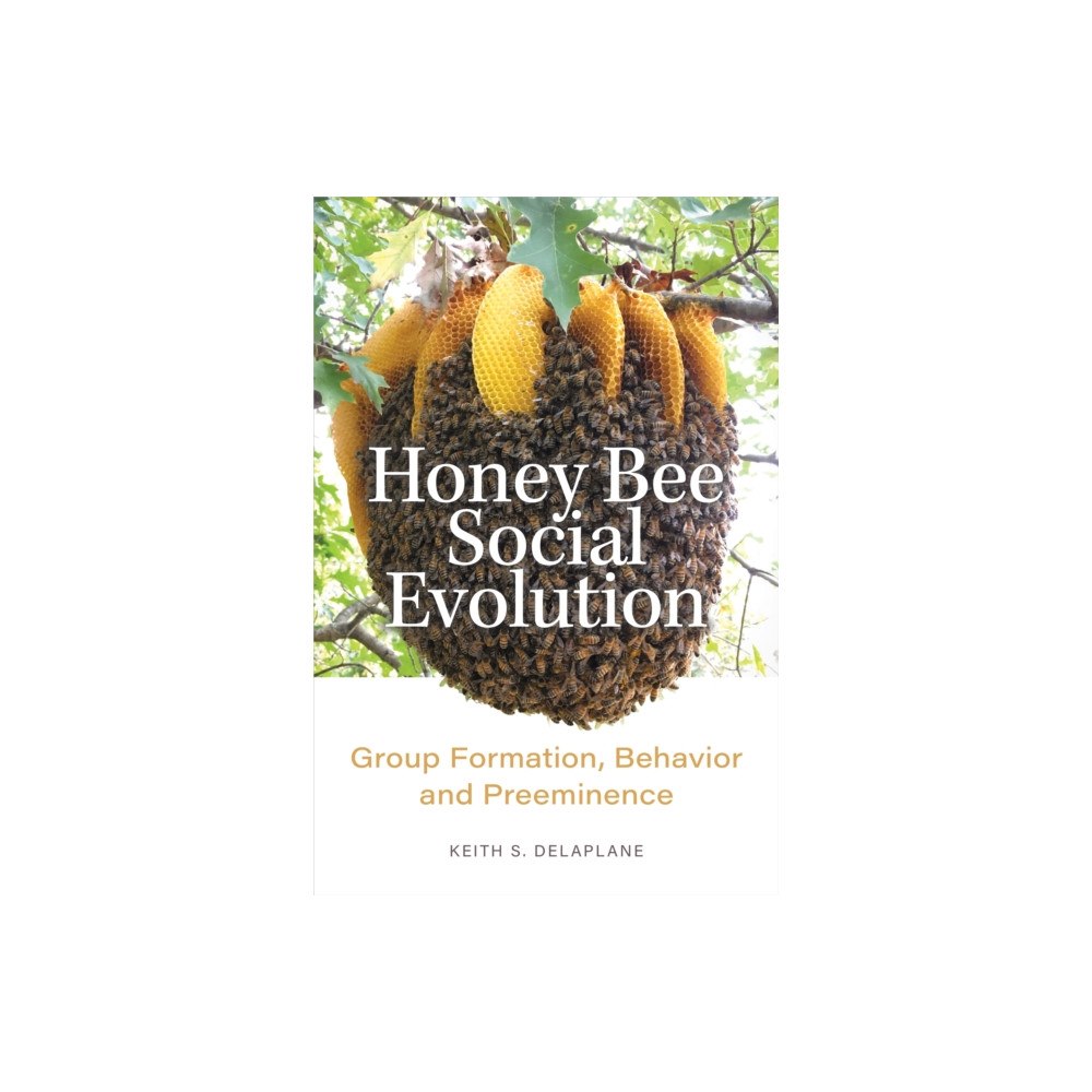 Johns Hopkins University Press Honey Bee Social Evolution (inbunden, eng)