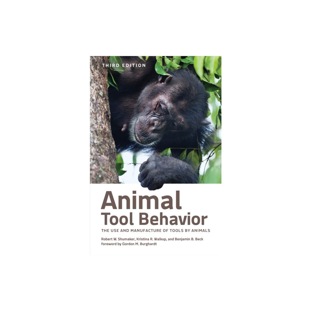 Johns Hopkins University Press Animal Tool Behavior (inbunden, eng)