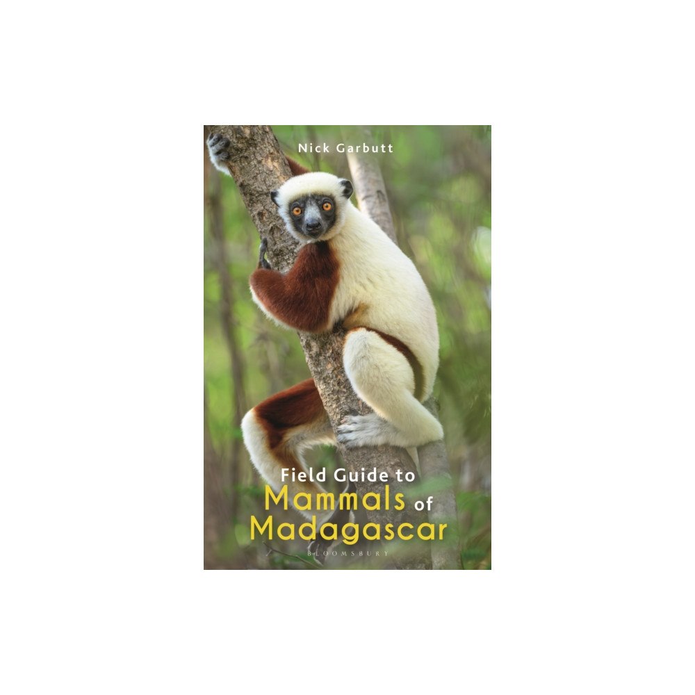 Bloomsbury Publishing PLC Field Guide to Mammals of Madagascar (häftad, eng)