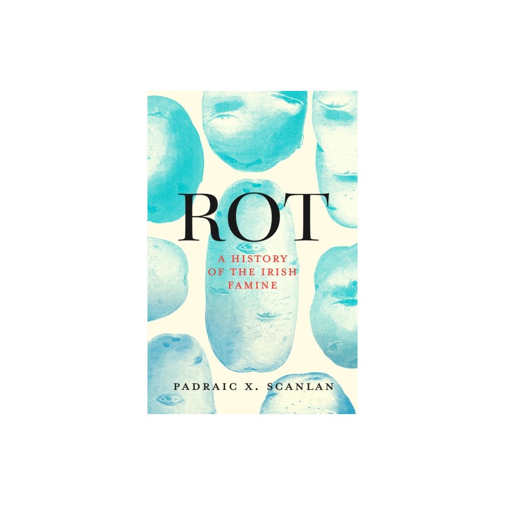 Little, Brown Rot (häftad, eng)