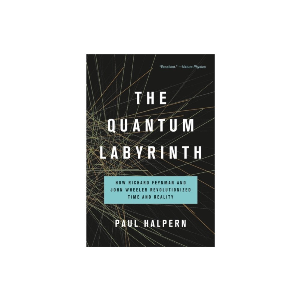 Basic Books The Quantum Labyrinth (häftad, eng)