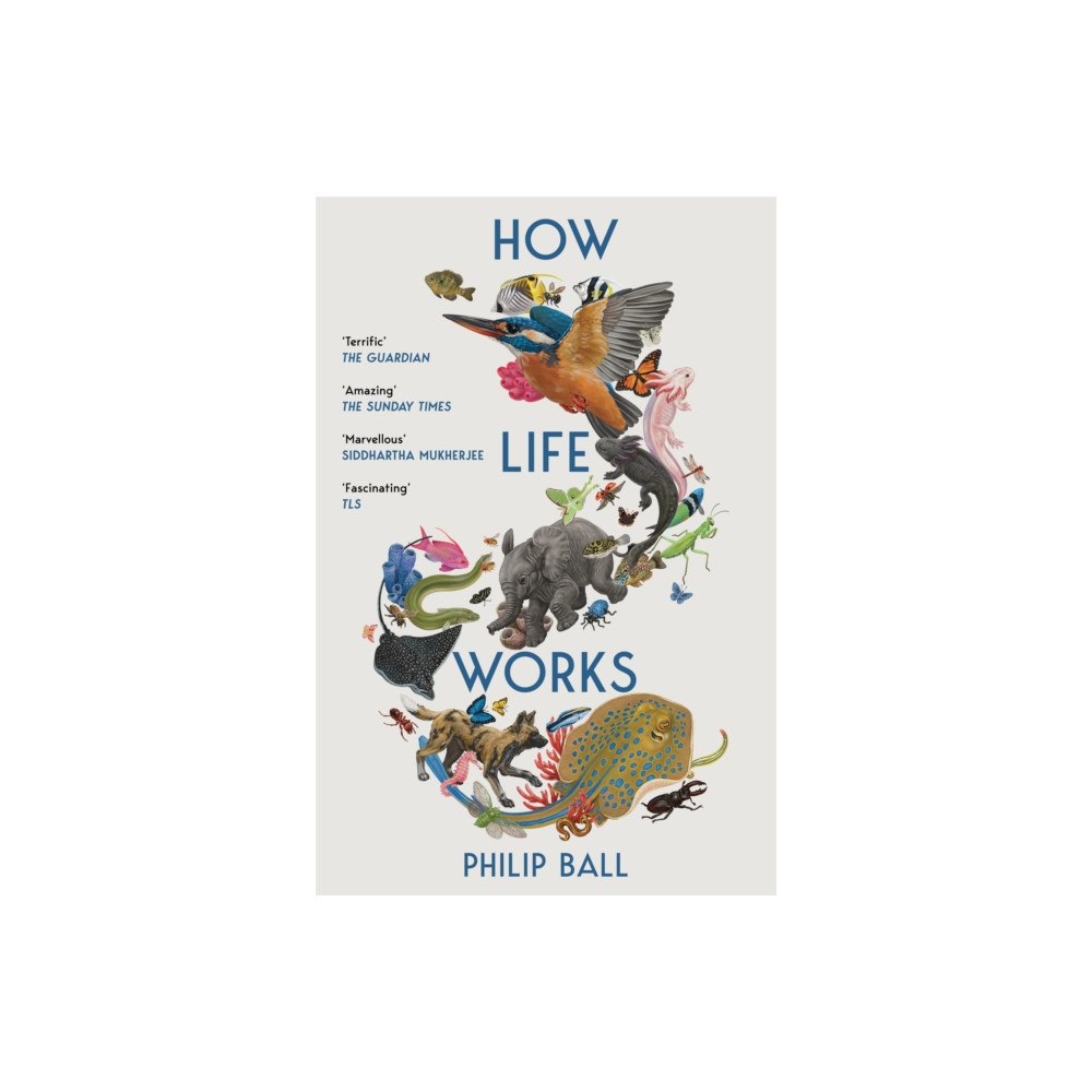 Pan Macmillan How Life Works (häftad, eng)
