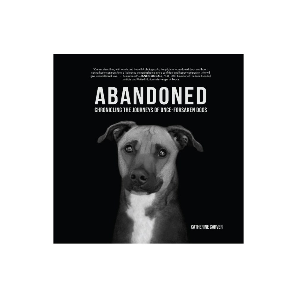 Lantern Books,US Abandoned (inbunden, eng)