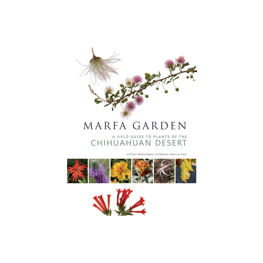 Trinity University Press,U.S. Marfa Garden (häftad, eng)