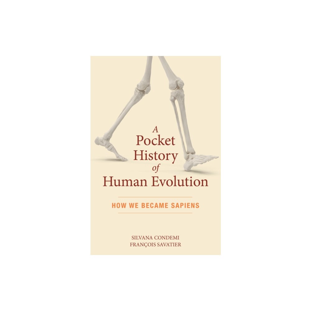 The Experiment LLC A Pocket History of Human Evolution (häftad, eng)