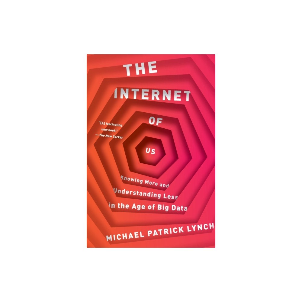W W Norton & Co Ltd The Internet of Us (häftad, eng)