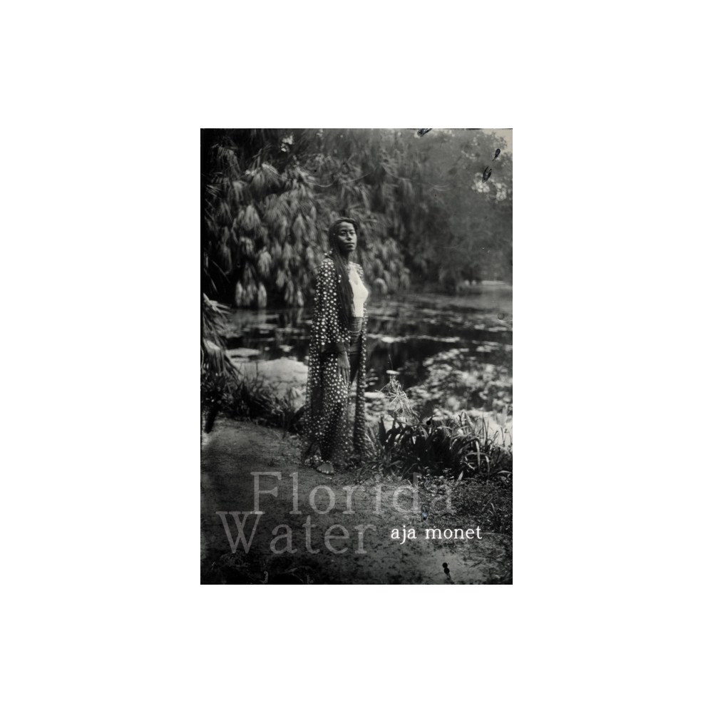 Haymarket Books Florida Water (häftad, eng)