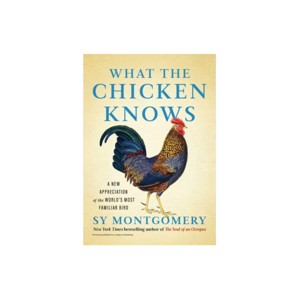 Atria Books What the Chicken Knows (inbunden, eng)