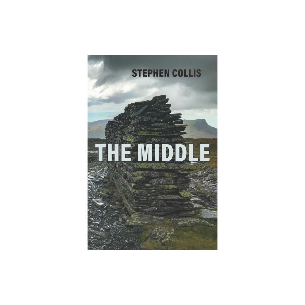 Talon Books,Canada The Middle (häftad, eng)