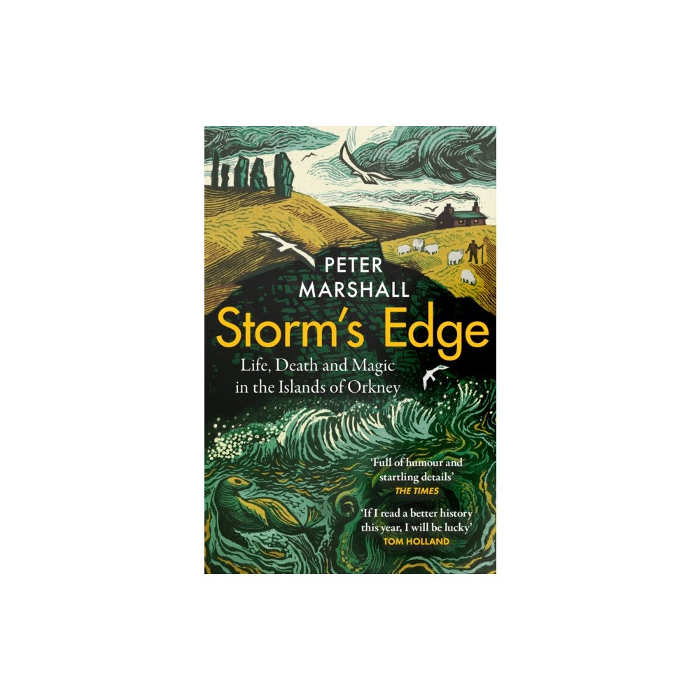 HarperCollins Publishers Storm’s Edge (häftad, eng)