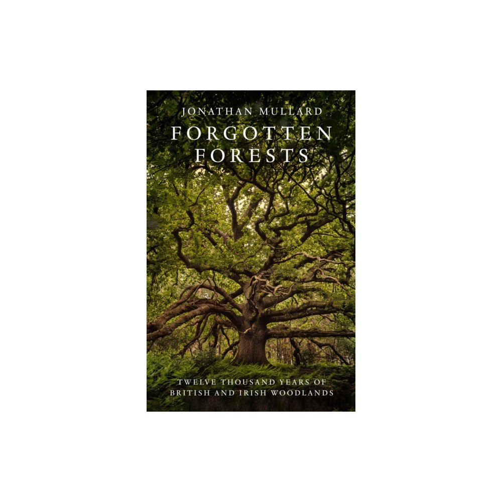 HarperCollins Publishers Forgotten Forests (inbunden, eng)