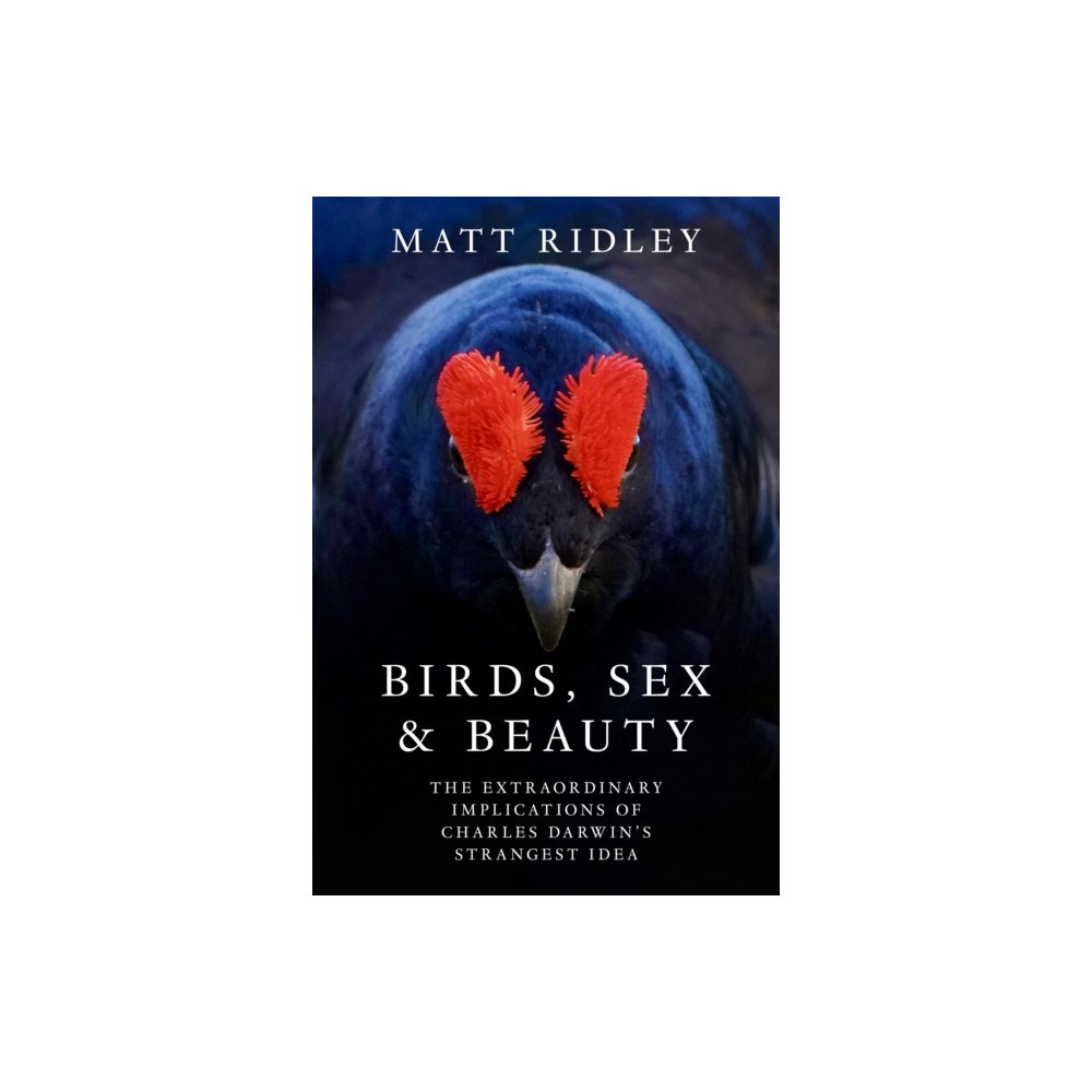 HarperCollins Publishers Birds, Sex and Beauty (häftad, eng)
