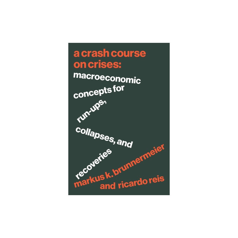 Princeton University Press A Crash Course on Crises (häftad, eng)