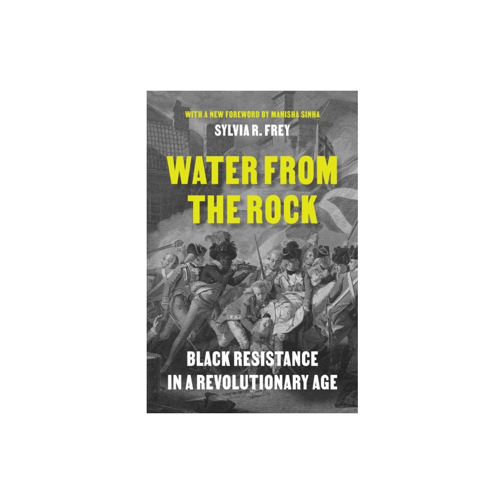 Princeton University Press Water from the Rock (häftad, eng)