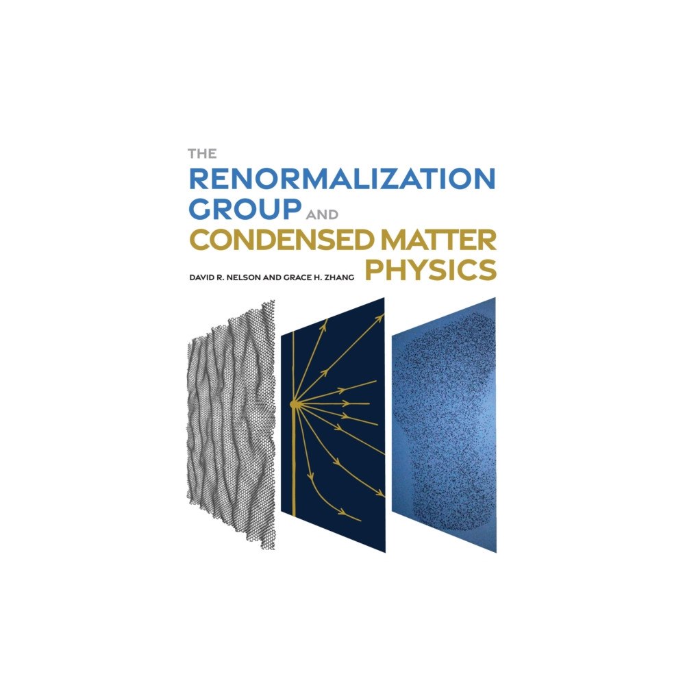 Princeton University Press The Renormalization Group and Condensed Matter Physics (inbunden, eng)