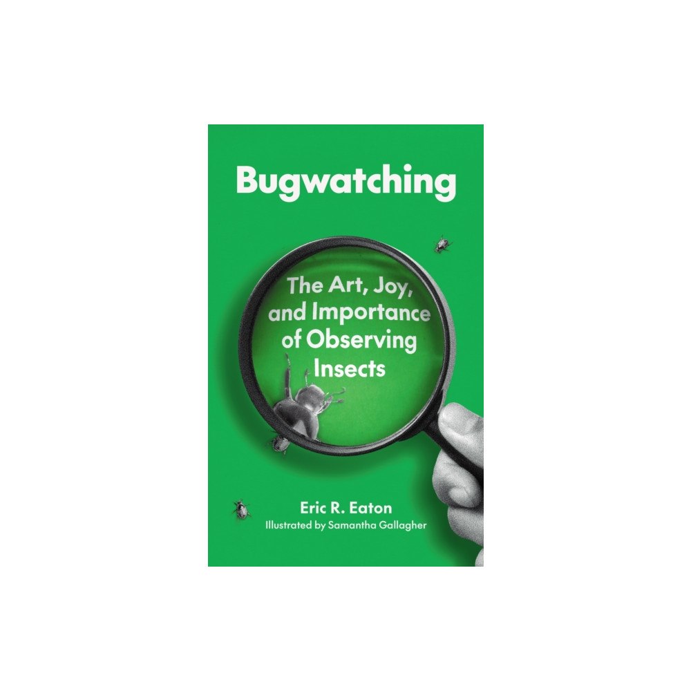 Princeton University Press Bugwatching (häftad, eng)