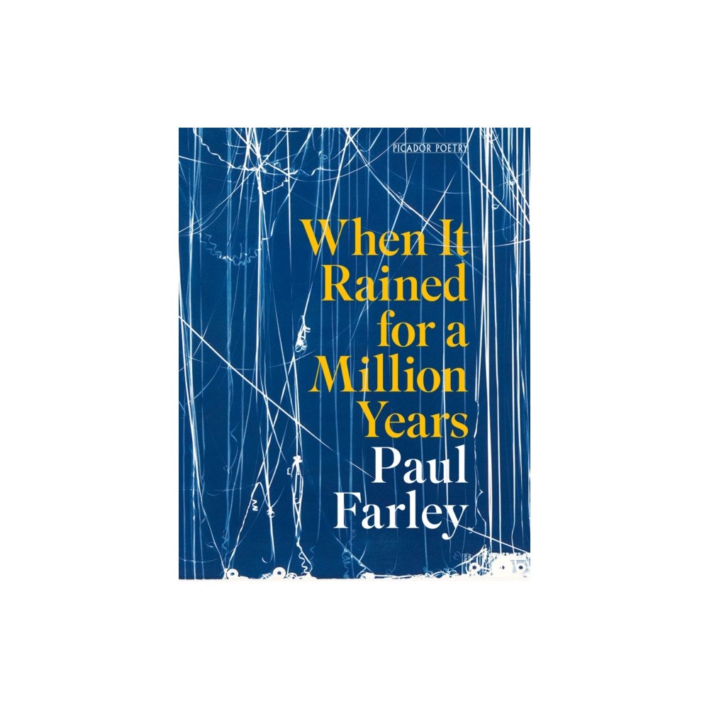 Pan Macmillan When It Rained for a Million Years (häftad, eng)