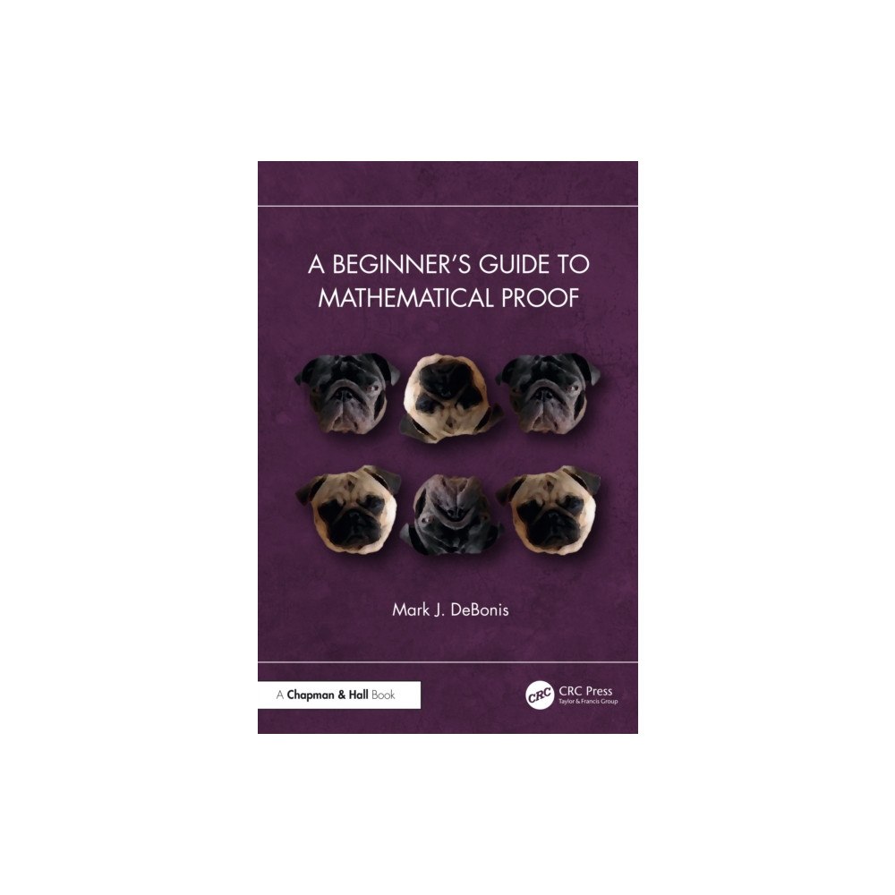 Taylor & francis ltd A Beginner’s Guide to Mathematical Proof (häftad, eng)