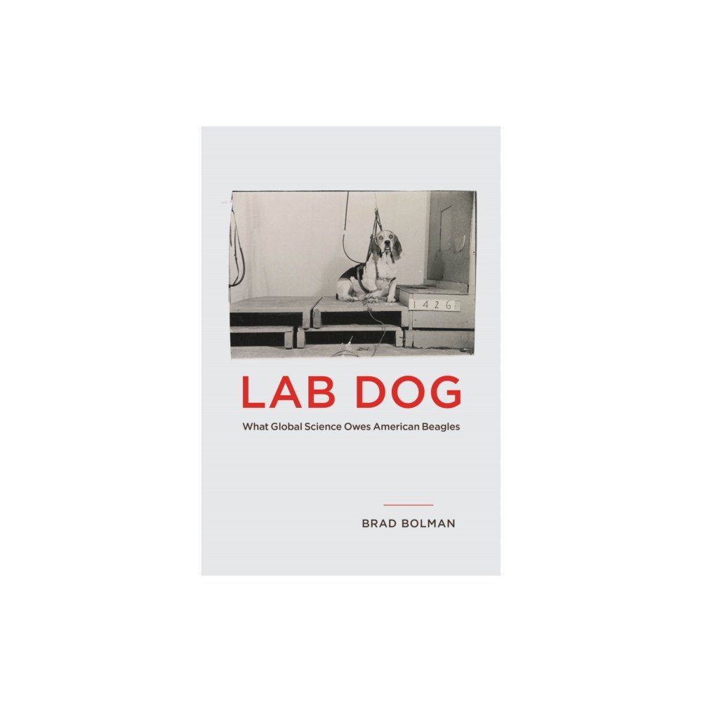 The university of chicago press Lab Dog (häftad, eng)