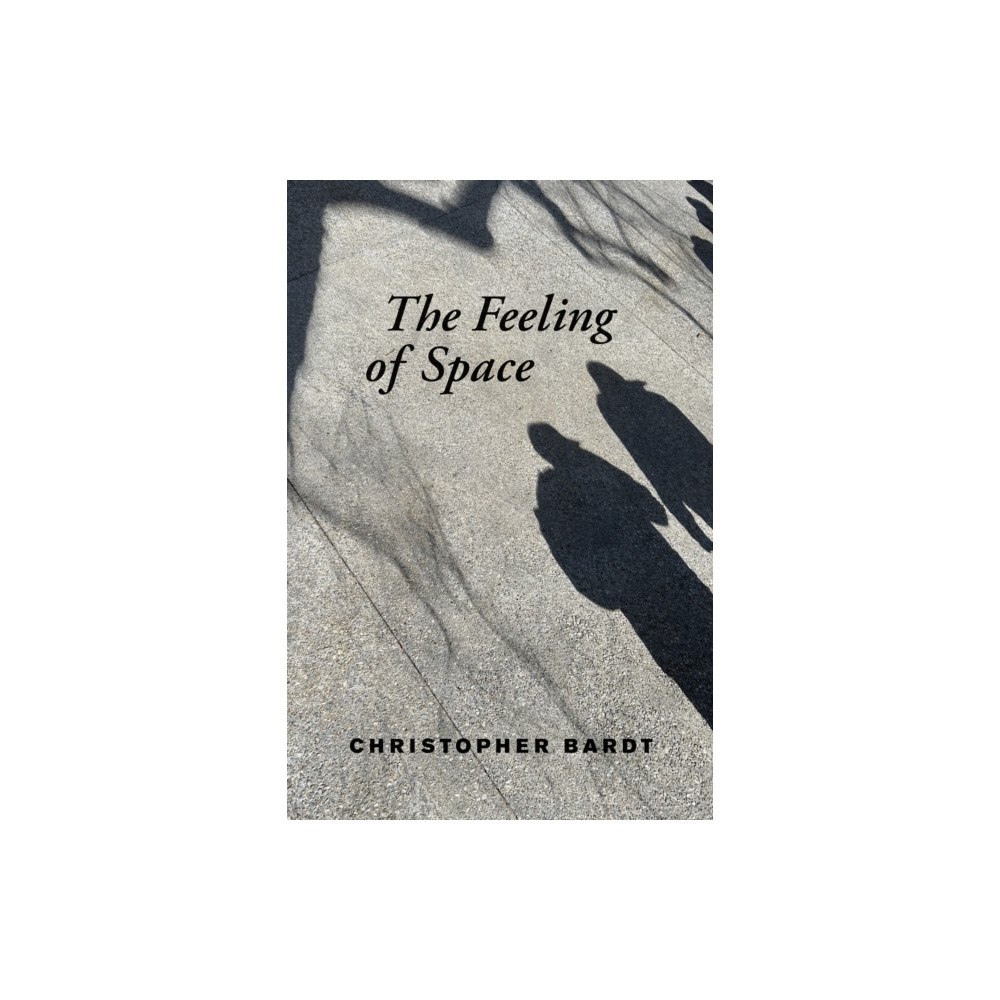 Mit press ltd The Feeling of Space (häftad, eng)