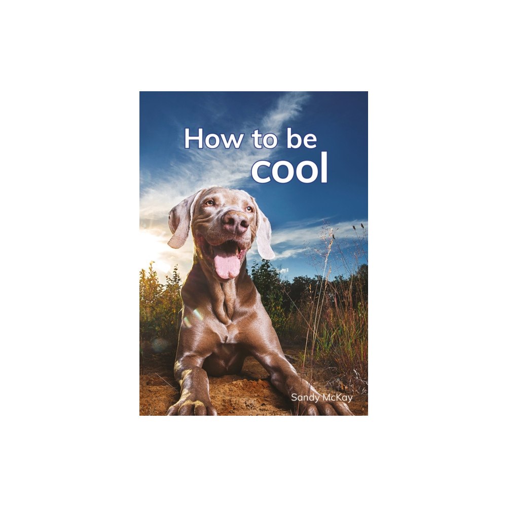 Capstone Global Library Ltd How to be cool (häftad, eng)