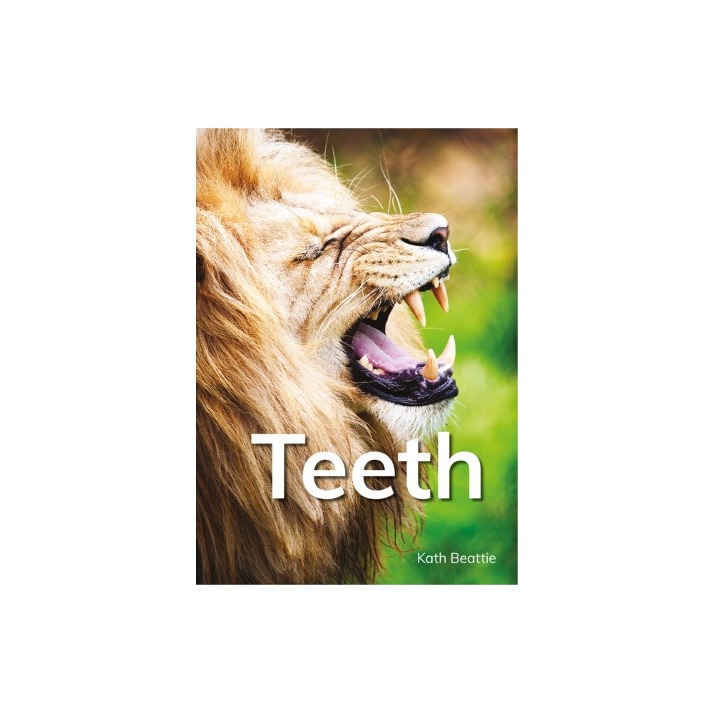 Capstone Global Library Ltd Teeth (häftad, eng)