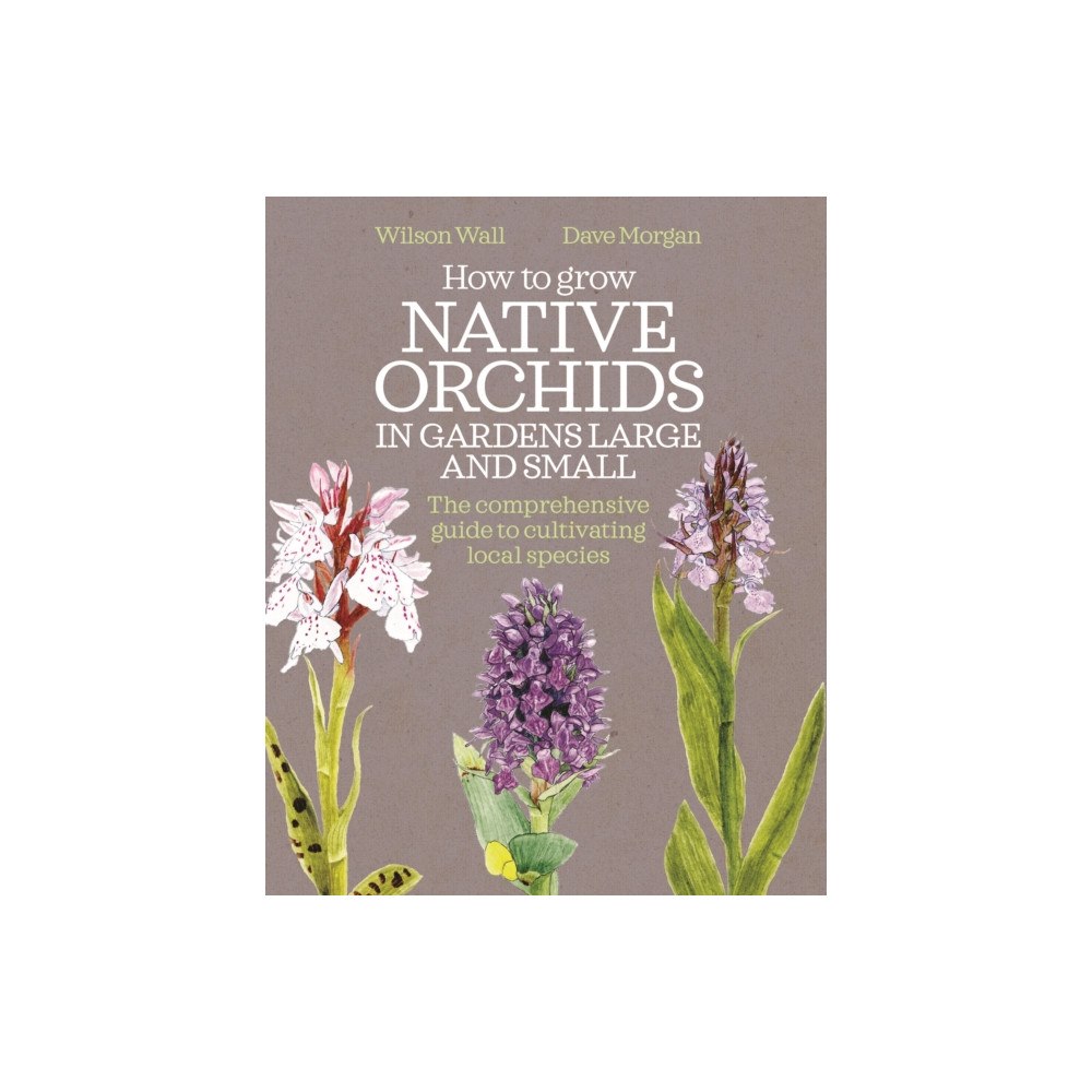 Bloomsbury Publishing PLC How to Grow Native Orchids in Gardens Large and Small (häftad, eng)