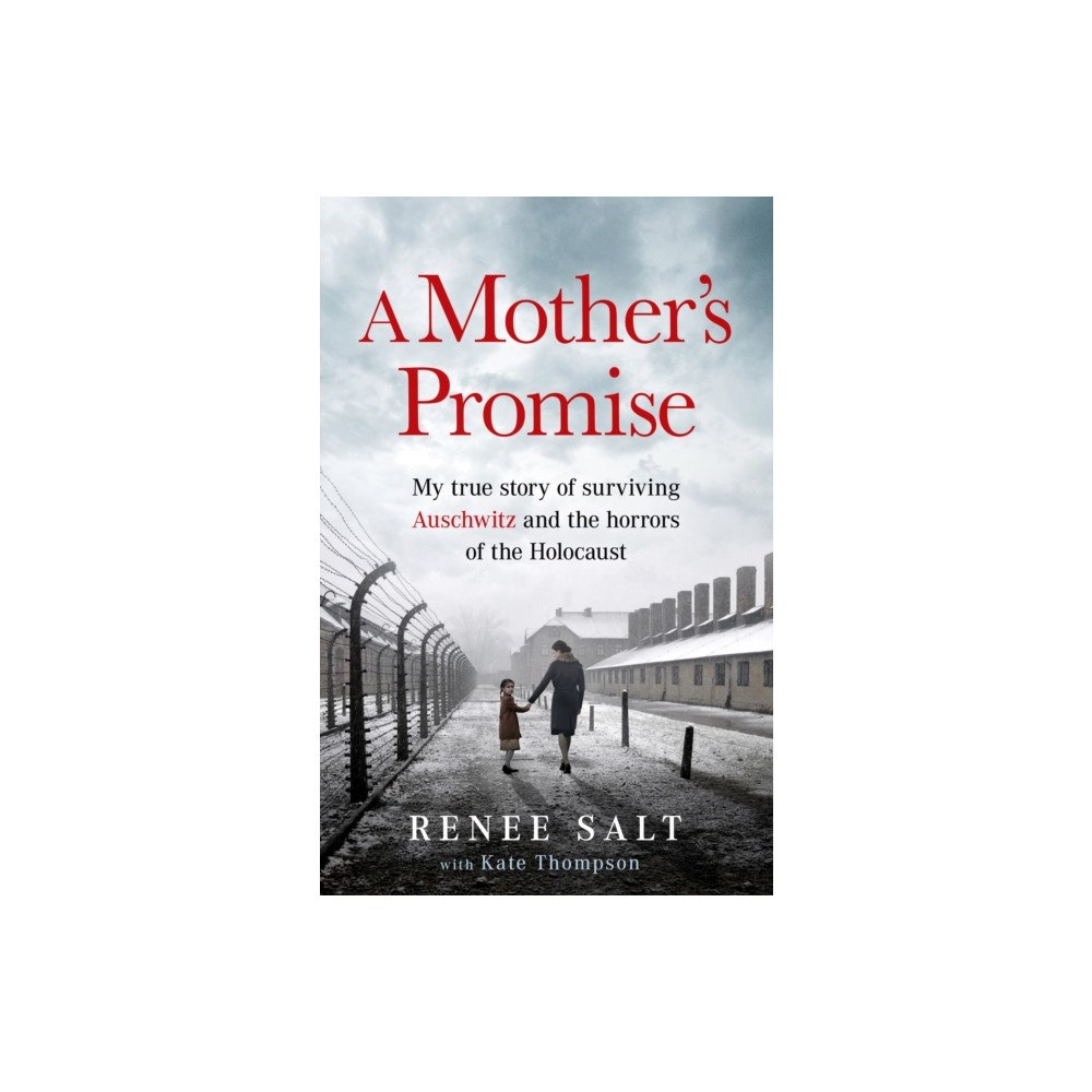 Orion A Mother's Promise (häftad, eng)