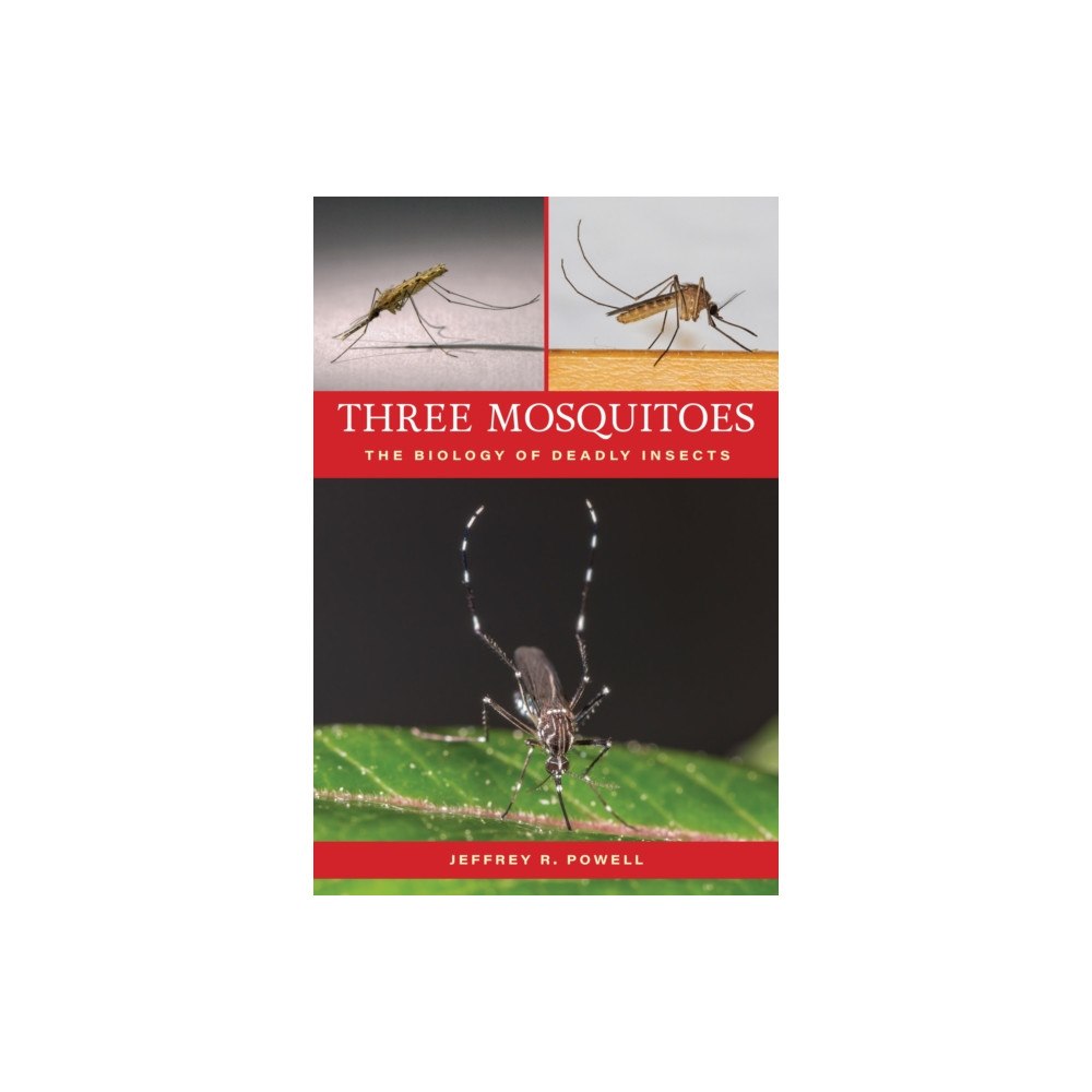 Johns Hopkins University Press Three Mosquitoes (häftad, eng)