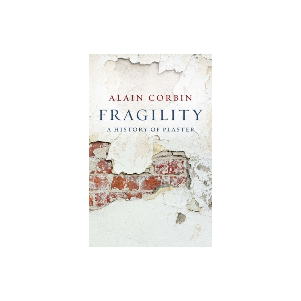 John Wiley And Sons Ltd Fragility (häftad, eng)