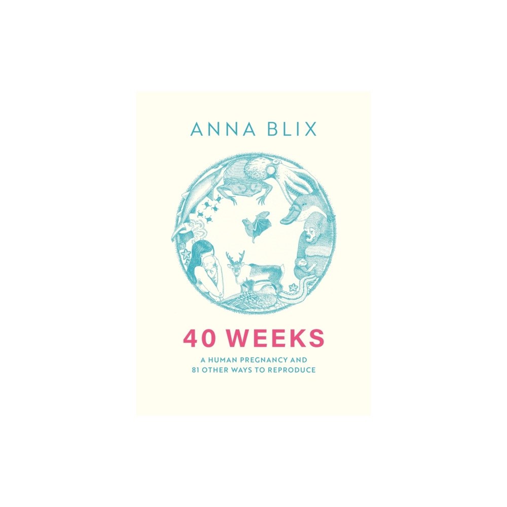 Quercus Publishing 40 Weeks (häftad, eng)