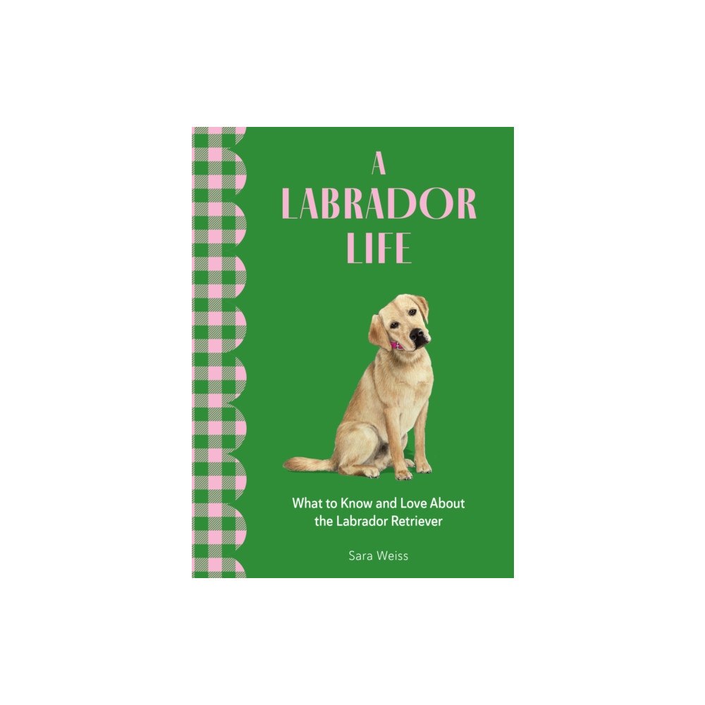 Quarto Publishing Group USA Inc A Labrador Life (inbunden, eng)