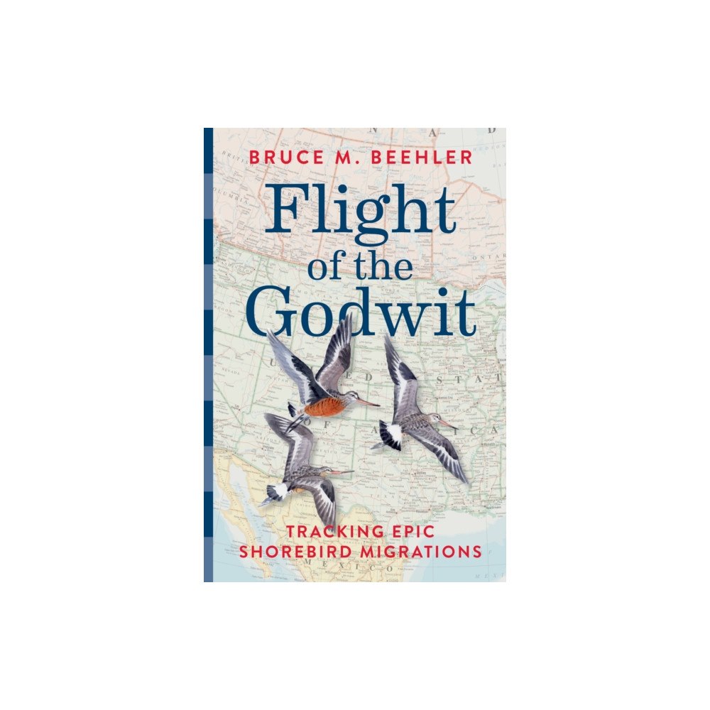 Smithsonian Books Flight of the Godwit (inbunden, eng)