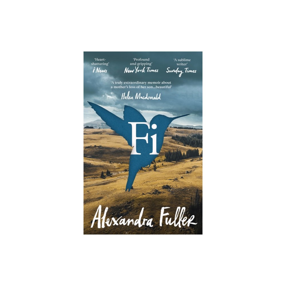 Vintage Publishing Fi (häftad, eng)